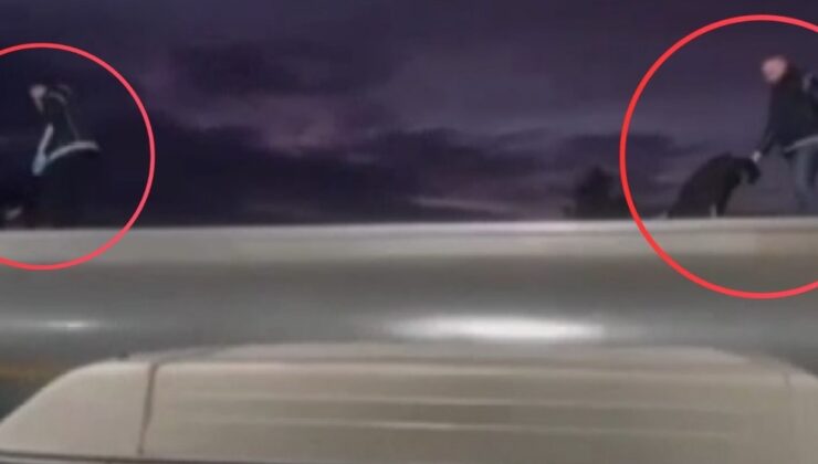 Diyarbakır merkezli operasyon: 115 göçmen yakalandı