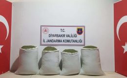 Diyarbakır’da 240 kilo esrar ele geçirildi