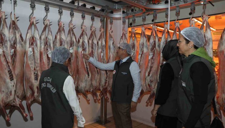 Diyarbakır’da hayvansal ürün satan iş yerlerinde sıkı denetim