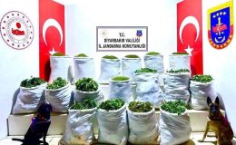 Diyarbakır’da uyuşturucu operasyonu: 285 kilo esrar ele geçirildi