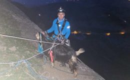 Diyarbakır’da 3 gün kayalıklarda mahsur kalan keçi kurtarıldı