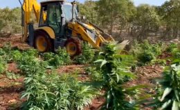 Diyarbakır’da 403 kilo esrar ve 423 bin esrar bitkisi ele geçirildi