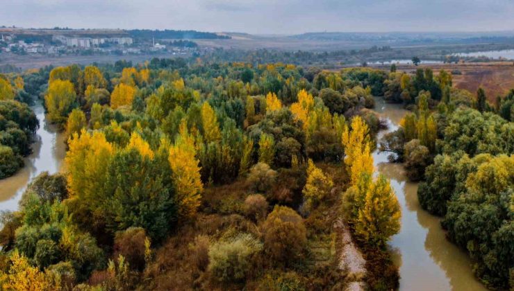 Diyarbakır’da UNESCO’nun gözbebeği sonbaharda eşsiz manzarayı sergiliyor