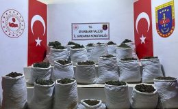 Lice’de 280 kilo esrar ve 244 bin 500 esrar bitkisi ele geçirildi