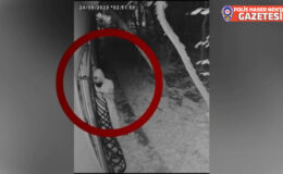 Diyarbakır’da Hırsızlık ve Kapkaç Operasyonu: 25 Şüpheli Yakalandı