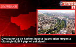 Diyarbakır’da kadının evinde başına kurşun isabet etmesi sonucu ölümüyle ilgili şüpheli gözaltına alındı