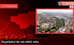 Diyarbakır’da Yoğun Sis Etkili Oldu