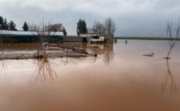 Şanlıurfa’da sağanak su baskınlarına neden oldu.