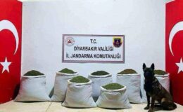 Diyarbakır Lice’de 129 kilo toz esrar ele geçirildi