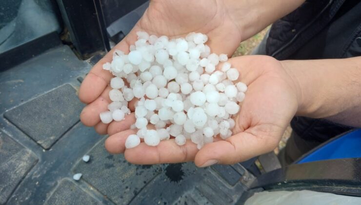 Diyarbakır’da dolu yağışı ekili arazileri vurdu