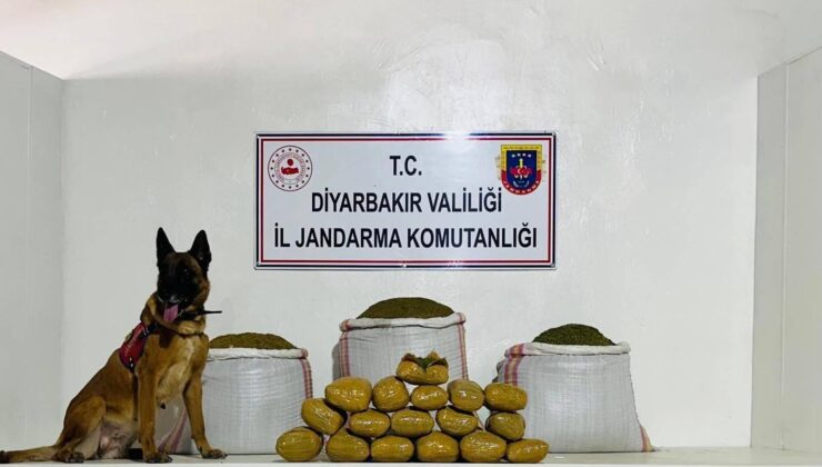 Lice’de 76 kilo toz esrar ele geçirildi