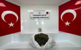 Diyarbakır’da 34 bin 500 kök kenevir ve 112 kilo esrar ele geçirildi