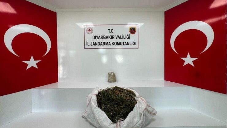 Diyarbakır’da 34 bin 500 kök kenevir ve 112 kilo esrar ele geçirildi