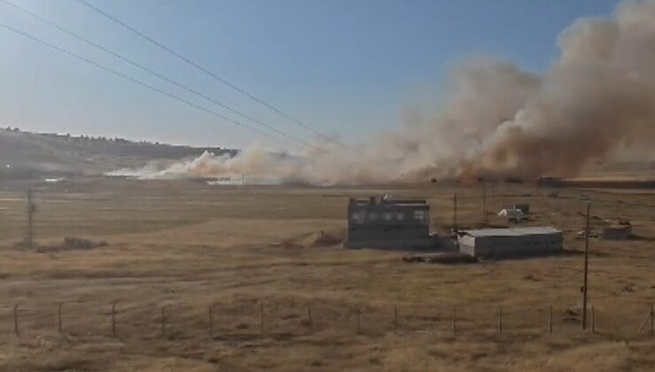 Mardin’de 120 Dönüm Arpa Ekili Tarla, yandı!