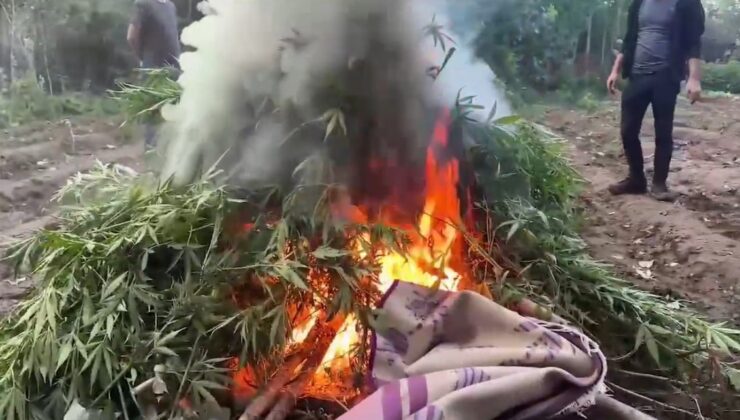 Diyarbakır’da dron destekli uyuşturucu operasyonu: 800 kilo esrar türevi ve 3 bin 276 kök kenevir ele geçirildi