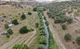 Kocaköy’de Çaya Giren Kuzenler Boğuldu