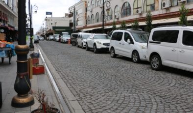 Diyarbakır’da tarihi mekanlardaki başıboş köpekler tedirgin ediyor