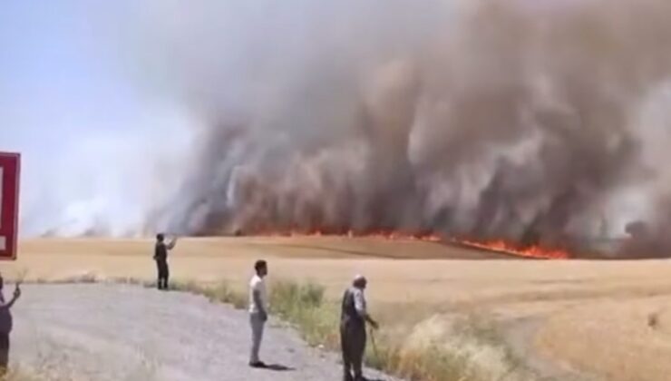 Diyarbakır’da bin dönümden fazla biçilmemiş buğday ve arpa yangında kül oldu