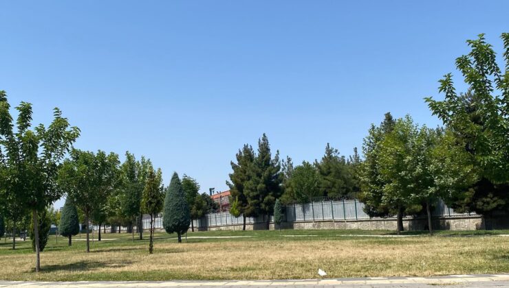 Diyarbakır’da Yeşil Alanlara Yeterli Sulama Yapılmıyor