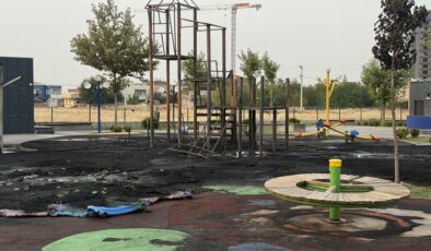 Diyarbakır’da çocuk parkı alevlere teslim oldu