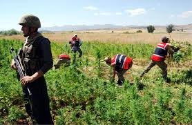 Diyarbakır’da düzenlenen uyuşturucu operasyonunda 25 şüpheli yakalandı