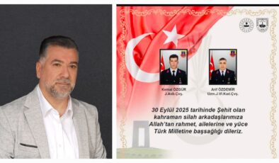 Şehitlerimize Rahmet, Milletimize Başsağlığı