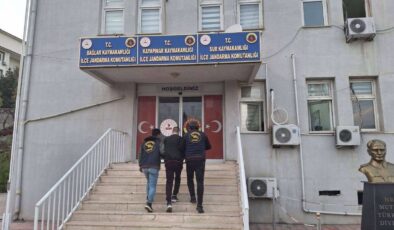 Diyarbakır’da jandarma operasyonları: 94 aranan şahıs yakalandı