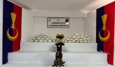Diyarbakır’da uyuşturucu operasyonları: 470 kilogram skunk ele geçirildi