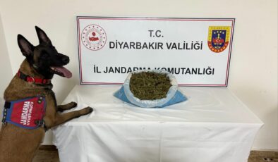 Diyarbakır İl Jandarma Komutanlığı, uyuşturucuyla mücadelede kararlılığını sürdürüyor.