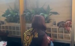 Diyarbakır’da ‘kadraj’ fuhuş operasyonu: 12 tutuklama