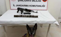 Şanlıurfa’da operasyon: Uzun namlulu silah ele geçirildi