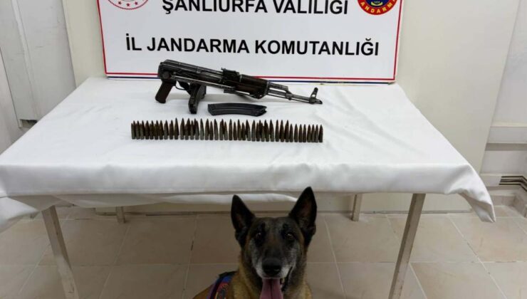 Şanlıurfa’da operasyon: Uzun namlulu silah ele geçirildi