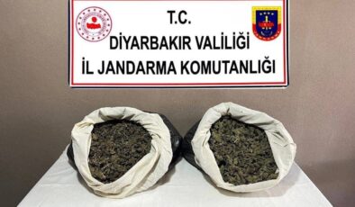 Diyarbakır’da Narkotik Operasyonları: 14 Olayda 14 Şüpheli Yakalandı, 13,7 Kg Skunk Ele Geçirildi