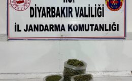 Diyarbakır’da Jandarmadan Uyuşturucu Operasyonları: 24 Şüpheliye İşlem, 14 Kg Esrar Ele Geçirildi
