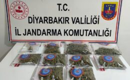 Diyarbakır’da Uyuşturucu Operasyonu: 23 Kilogram Esrar Ele Geçirildi