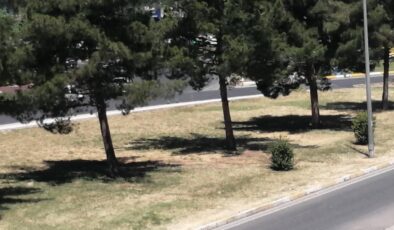 Diyarbakır’da Belediyecilik Eleştirileri: “Şehir Kaderine Terk Edildi” İddiaları
