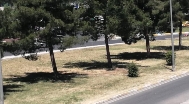 Diyarbakır’da Belediyecilik Eleştirileri: “Şehir Kaderine Terk Edildi” İddiaları