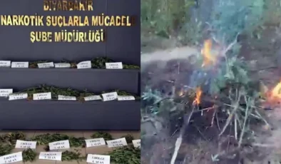 Hevsel Bahçeleri’nde operasyon: Binlerce kök kenevir imha edildi