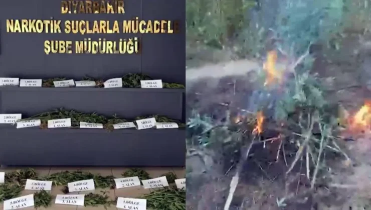 Hevsel Bahçeleri’nde operasyon: Binlerce kök kenevir imha edildi