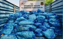 Diyarbakır’da 3 ton sağlıksız hayvansal iç yağ ele geçirildi